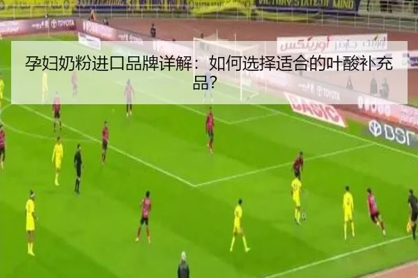 孕妇奶粉进口品牌详解：如何选择适合的叶酸补充品？